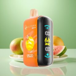 ELF BAR RAYA D3 25000 Pufuri Vape Disposable Mango Piersică Pepene Galben cu Baterie 850mAh, Reîncărcabil și Ecran Mare